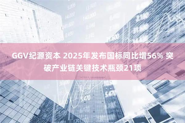 GGV纪源资本 2025年发布国标同比增56% 突破产业链关键技术瓶颈21项