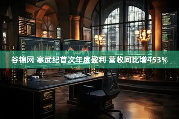 谷锦网 寒武纪首次年度盈利 营收同比增453%