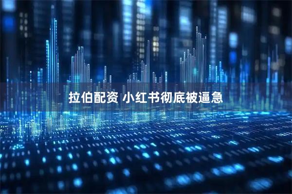 拉伯配资 小红书彻底被逼急