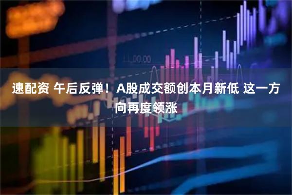 速配资 午后反弹！A股成交额创本月新低 这一方向再度领涨