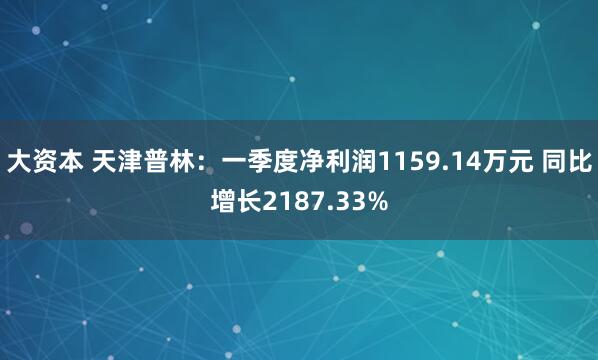 大资本 天津普林：一季度净利润1159.14万元 同比增长2187.33%